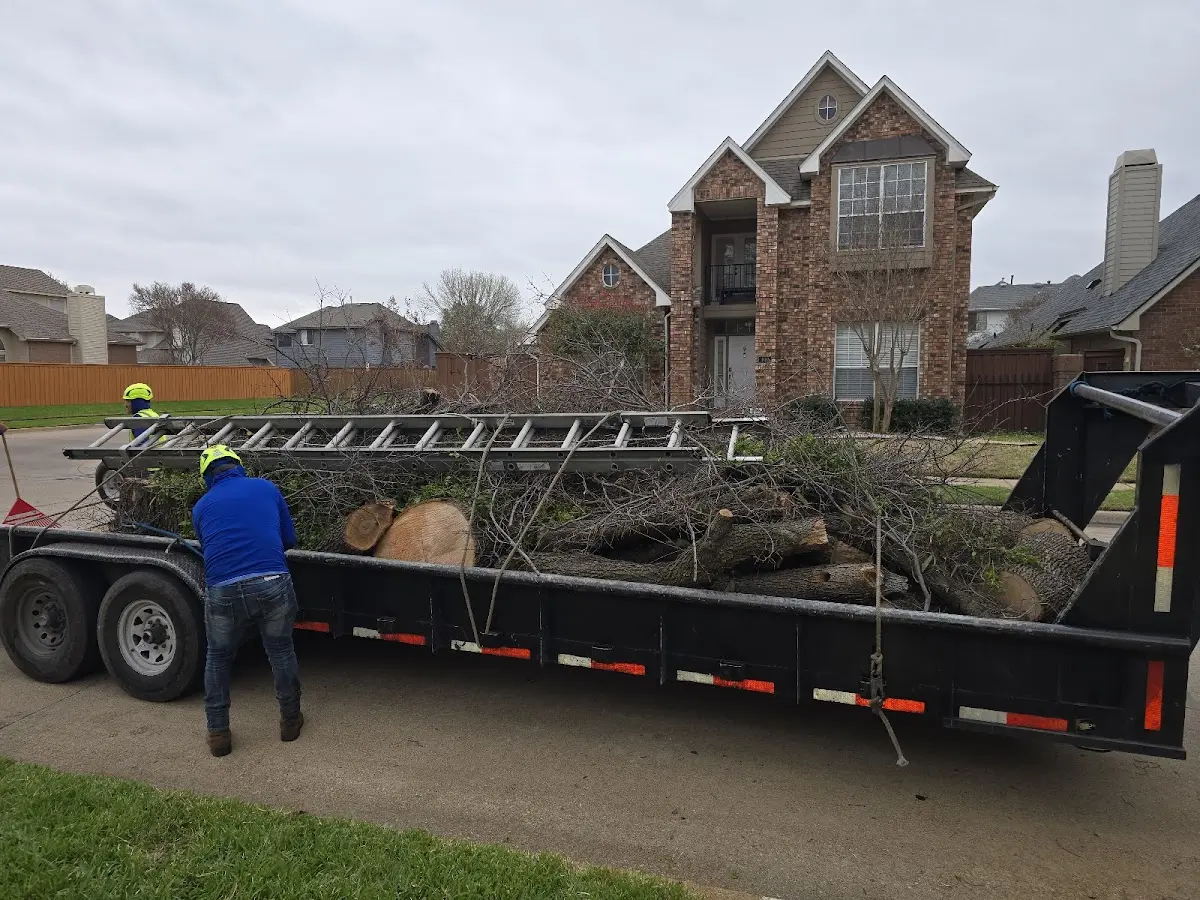 Expert Tree Fertilization with proper safety equipment in Baroda